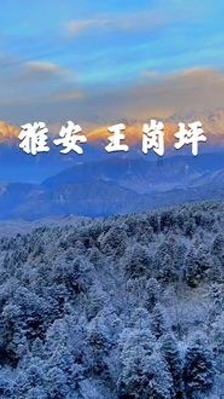 去年四季度主动权益基金股票仓位回升，茅台再度蝉联第一重仓股